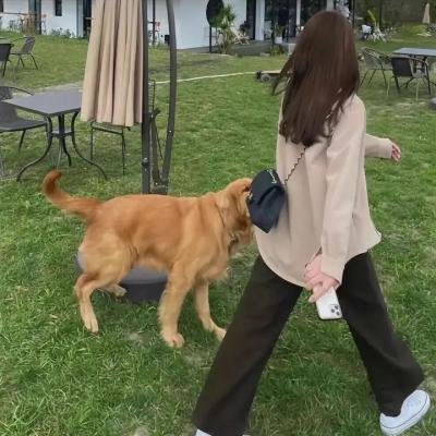 楚留香后传之西门无恨