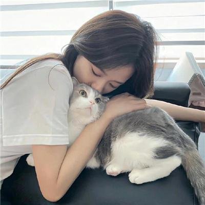 冬森林的秘密