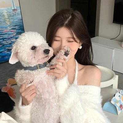 落叶的沉默